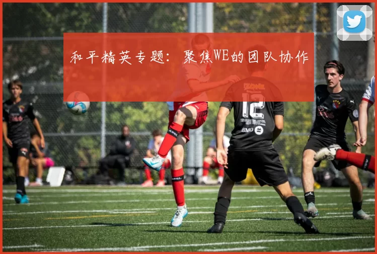 和平精英专题：聚焦WE的团队协作