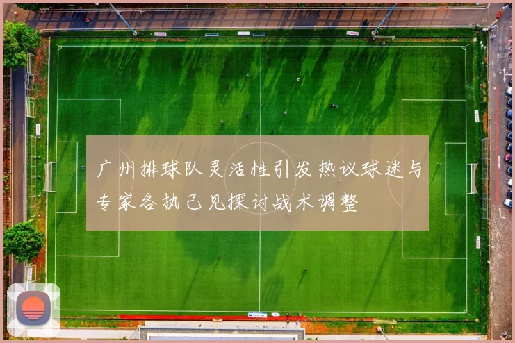 广州排球队灵活性引发热议球迷与专家各执己见探讨战术调整
