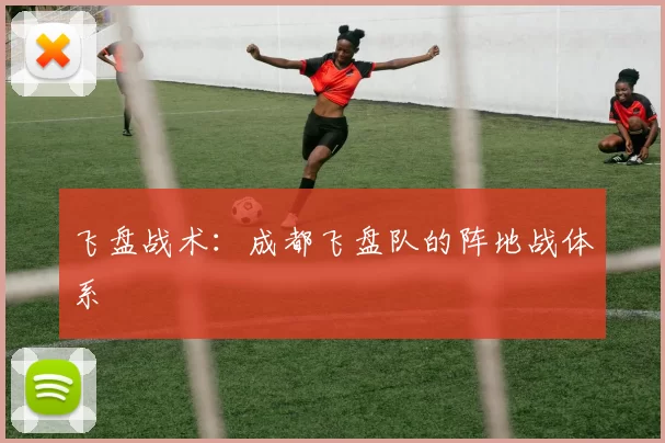 飞盘战术：成都飞盘队的阵地战体系