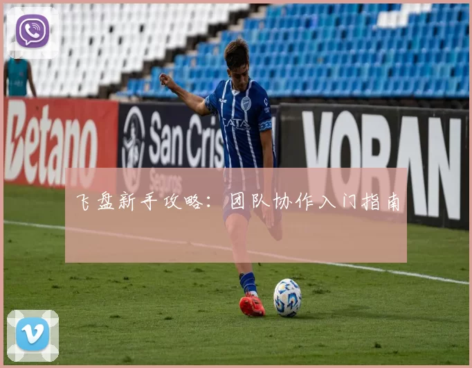 飞盘新手攻略：团队协作入门指南