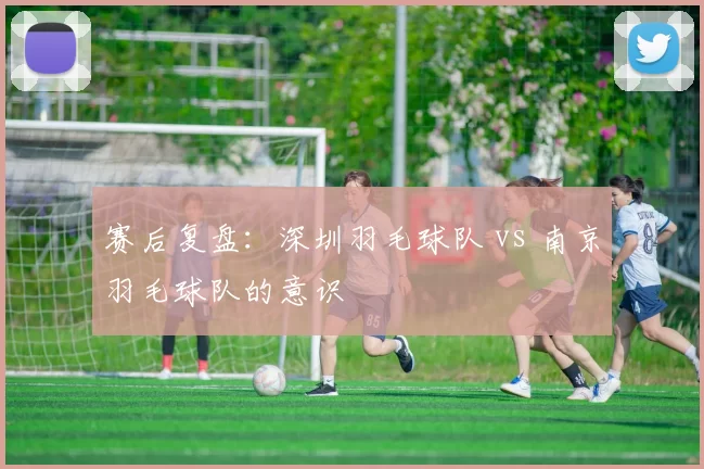 赛后复盘：深圳羽毛球队 vs 南京羽毛球队的意识
