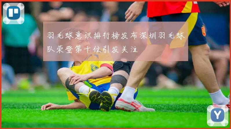 羽毛球意识排行榜发布深圳羽毛球队荣登第十位引发关注