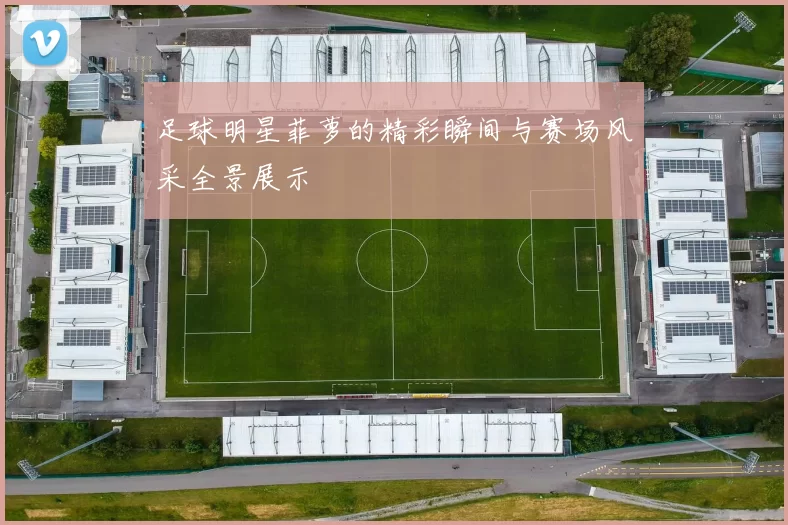 足球明星菲萝的精彩瞬间与赛场风采全景展示