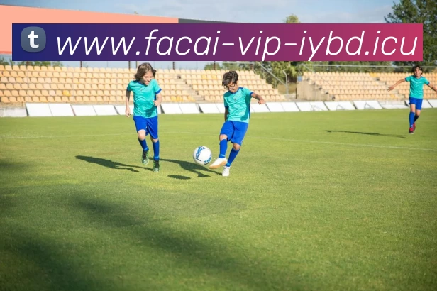 乐竞体育平台生态图